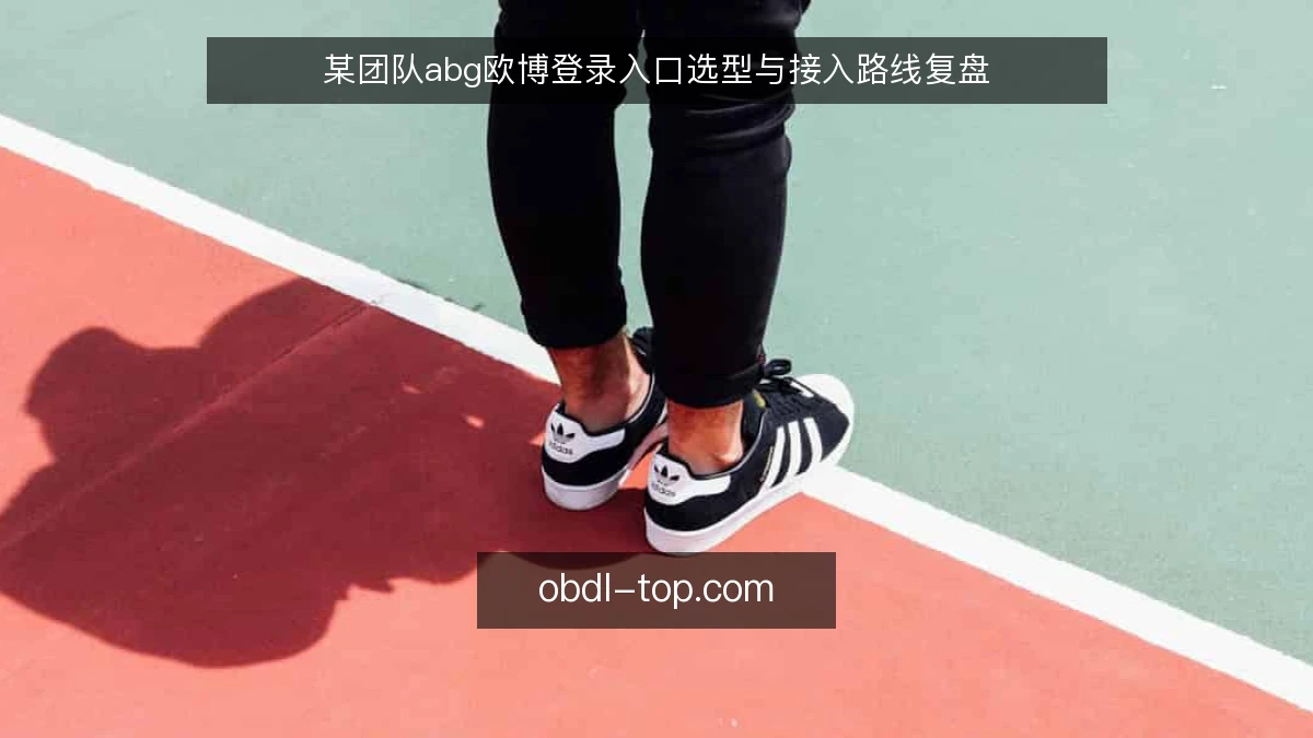 某团队abg欧博登录入口选型与接入路线复盘