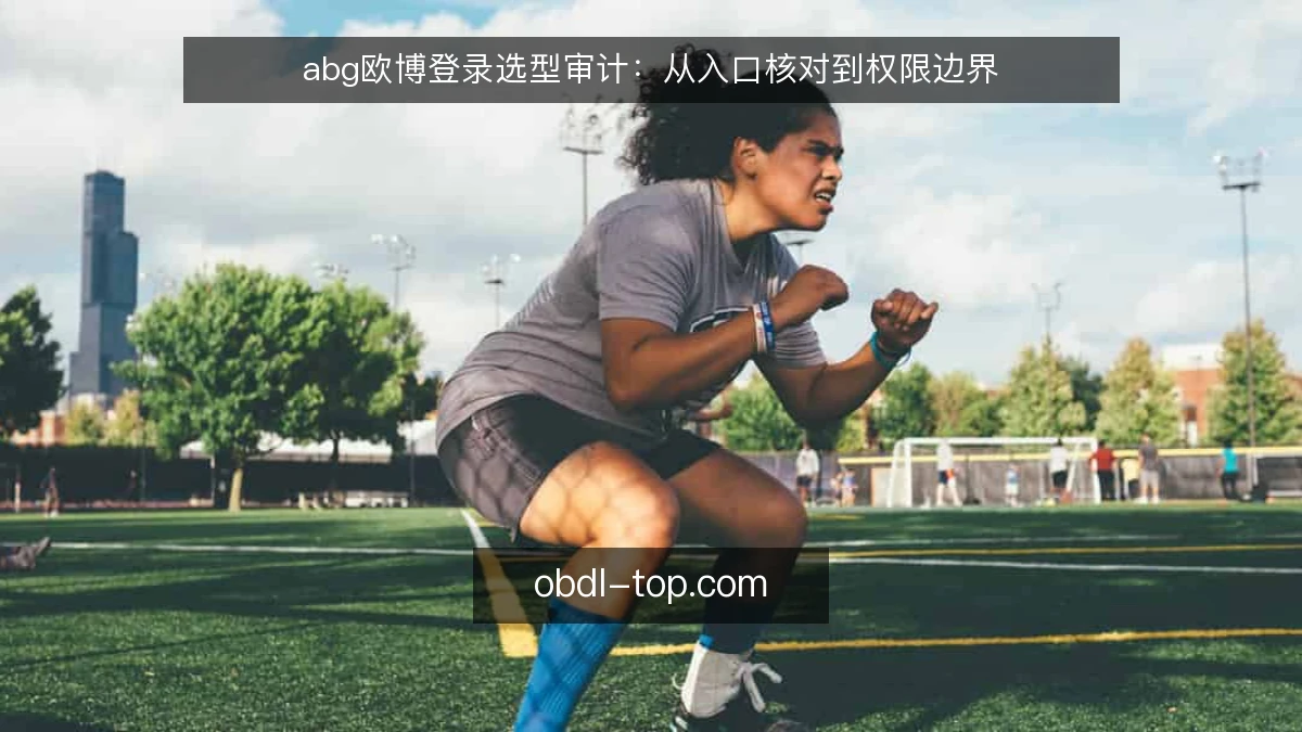 abg欧博登录选型审计:从入口核对到权限边界