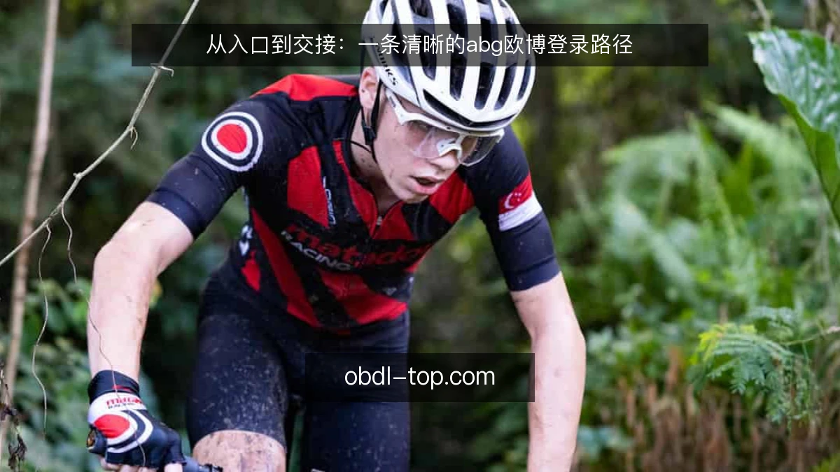 从入口到交接：一条清晰的abg欧博登录路径