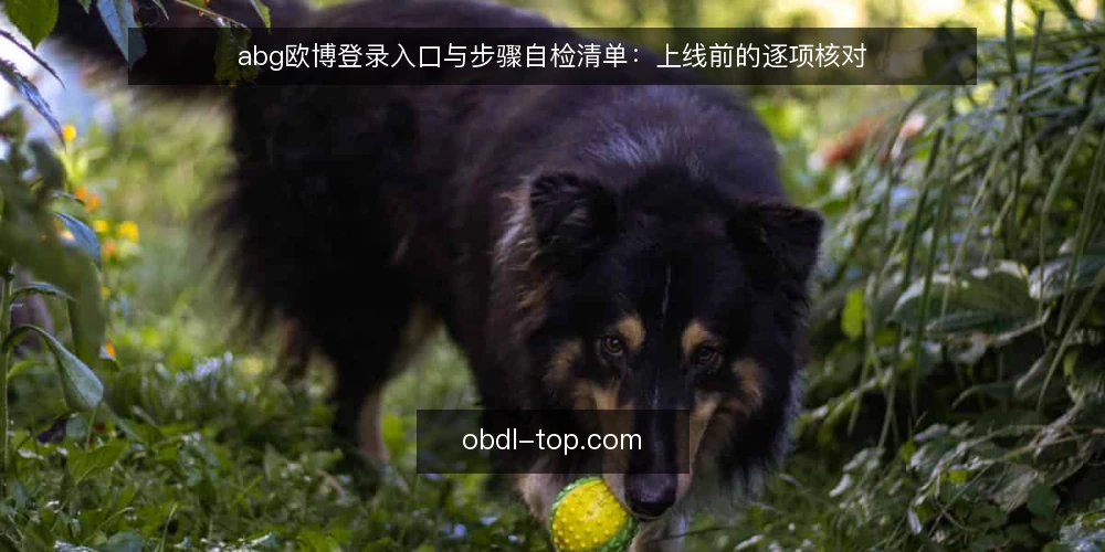 abg欧博登录入口与步骤自检清单：上线前的逐项核对 — 为什么现在做一次登录审计 配图